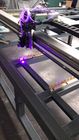 Grabador ULTRAVIOLETA del laser del plano, diodo láser de la máquina de grabado de la materia textil 405nm